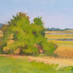 Small sketch of marsh, oil on canvas, 6"x12"